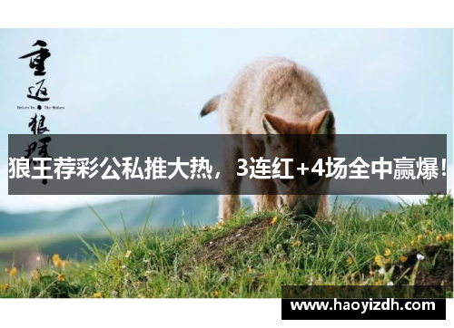 狼王荐彩公私推大热，3连红+4场全中赢爆！